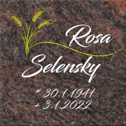 Selensky-1